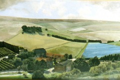 Breaky Bottom vineyards under plastic