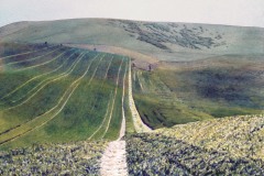 Castle Hill, Kingston, Sussex