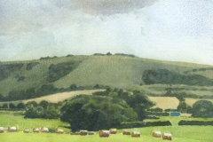 The downs by Ringmer