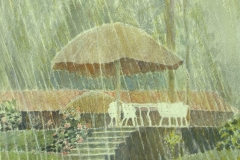 Deluge