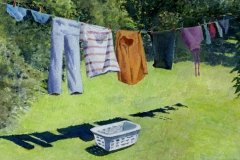 Washing line