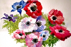 Anemones