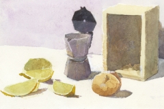 Lemon, coffee pot & onion