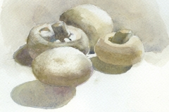 Mushrooms