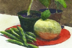 Squash plants, squash & beans