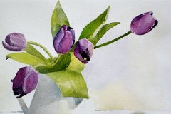 Tulips